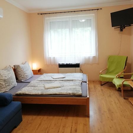 ホテル Oerveny Vendeghaz Tiszafüred 部屋 写真